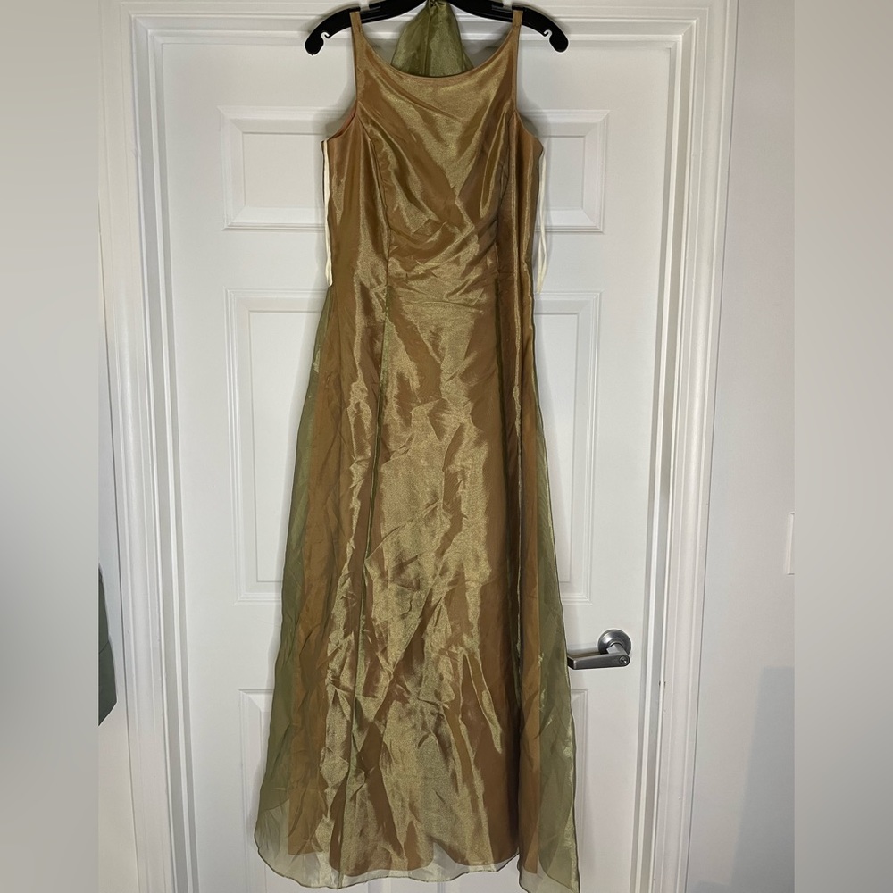 Vintage A-line dress. Comes with shawl, lined with green roses on the back.